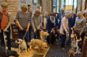 Picture, Pets Service